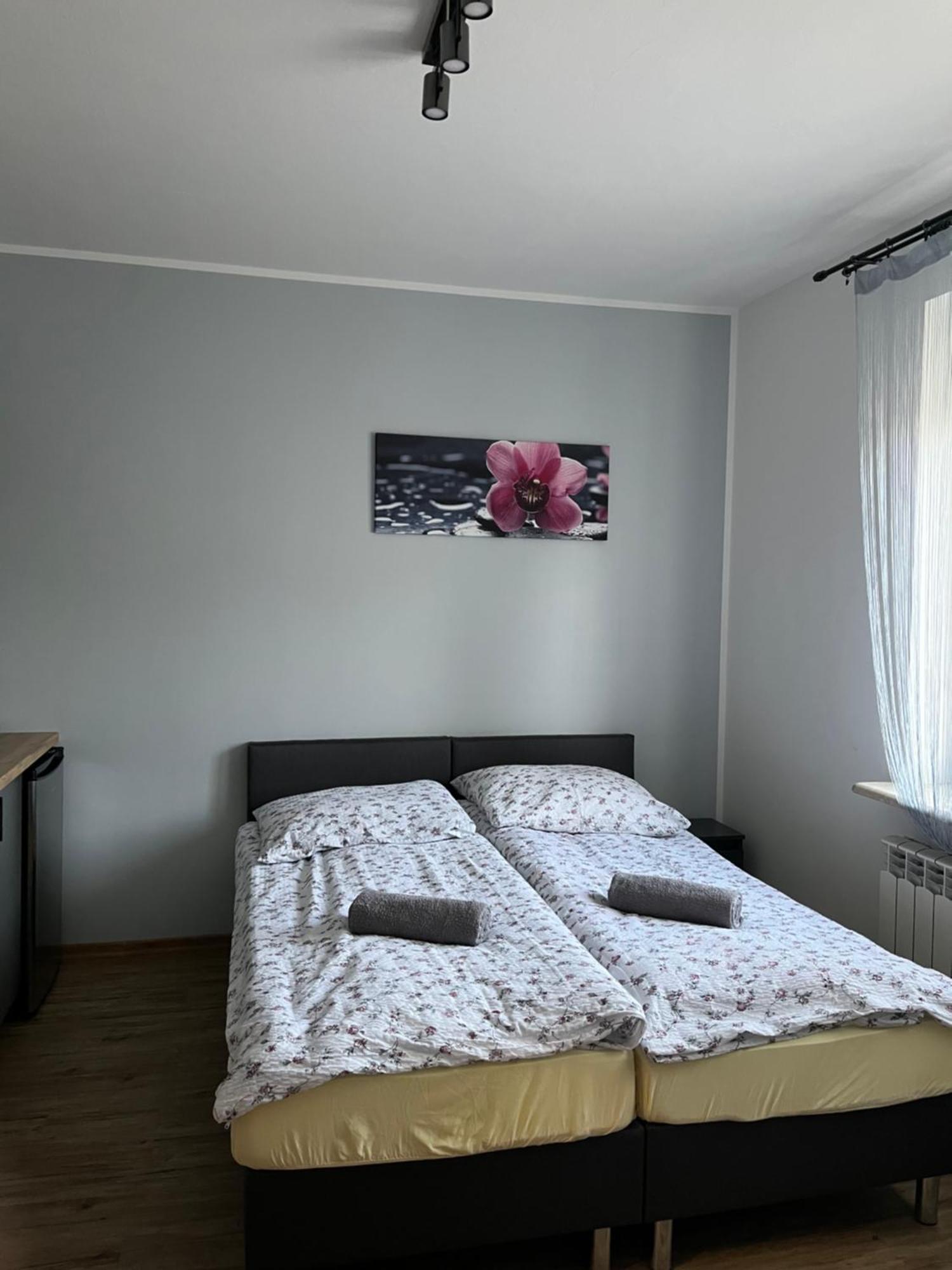 Dom Wypoczynkowy Nad Wisla Puławy Exterior foto